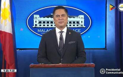 <p>Presidential Spokesperson and Communications Secretary Martin Andanar</p>