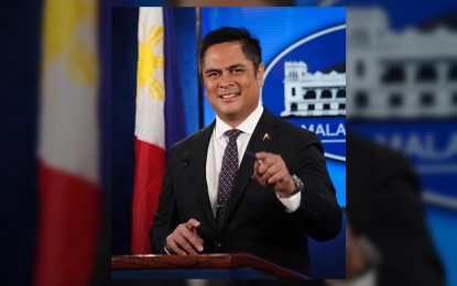 <p>Acting presidential spokesperson and Communications Secretary Martin Andanar<em> (File photo)</em></p>