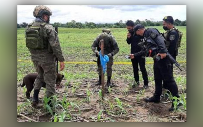 <p><strong>ON ALERT.</strong> Soldiers inspect a powerful bomb that was eventually deactivated by Army explosive ordnance demolition personnel Sunday (April 10, 2022) at a roadside in Barangay Matagobong, Ampatuan, Maguindanao. Troops are on alert as the national and local elections on May 9 are fast approaching.<em> (Photo courtesy of 6th Infantry Division)</em></p>