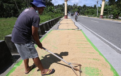 <p>A farmer dries palay along a road in Marinduque. <em>(PNA photo by Joey Razon)</em></p>