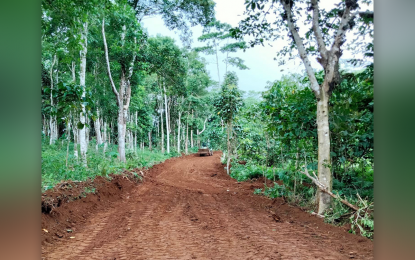 <p><strong>ROAD TO PEACE.</strong> Government troops open a two-kilometer road connecting Barangay Bud Bunga to Barangay Upper Sinumaan, Talipao, Sulu, in coordination with the provincial government. In a statement Thursday (April 14, 2022), the Army's 2nd Special Forces Battalion said its troops are also rehabilitating the five kilometer road that connects Upper Sinumaan and Lower Sinumaan, which are former Abu Sayyaf Group-influenced areas.<em> (Photo courtesy of the 6th Special Forces Company)</em></p>