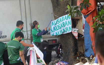DENR-11 starts removing campaign posters from trees