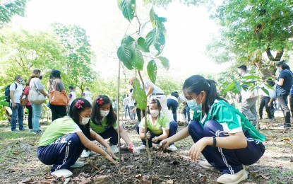 <p><strong>ENVIRONMENTAL RESPONSIBILITY.</strong> Elementary students join a tree-planting activity at the Ninoy Aquino Parks and Wildlife Center Arboretum in Diliman, Quezon City on April 22, 2022. Oriental Mindoro Schools Division superintendent Maria Luisa Servando said Wednesday (Nov. 22, 2023) that all schools in the province under the Department of Education (DepEd) would take part in a simultaneous tree-planting activity on Dec. 6 to foster a deeper understanding of environmental issues and promote conservation efforts among students. <em>(PNA photo by Ben Briones)</em></p>