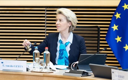<p>EU Commission chief Ursula von der Leyen</p>