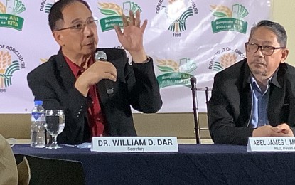 <p><strong>INDUSTRY ASSISTANCE.</strong> Agriculture Secretary William Dar (right) announces during a press briefing Tuesday in Davao City that the agency has provided production and marketing assistance to help the local banana sector fully recover from by the Panama disease and the pandemic. DA-11 Executive Director Abel James Monteagudo (left) says the agency also offers assistance for high-value crops farmers. <em>(PNA photo by Christine Cudis)</em></p>