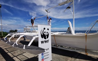 <p><strong>MODEL BOAT.</strong> The World Wide Fund (WWF)-Philippines aims to raise up to PHP21 million throughout the campaign so that it can provide about 27 “Build Back Better” boats to the fishermen of the Lagonoy Gulf area. The WWF-Philippines on Thursday (May 5, 2022) virtually launched the “Build Back Better” boats campaign. <em>(Photo courtesy of WWF-PH)</em></p>