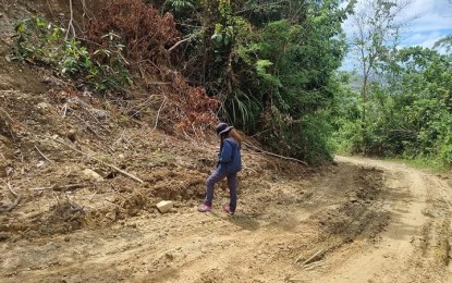 <p><br /><strong>ASSESSMENT</strong>. A geologist from the Mines and Geosciences Bureau (MGB) in Western Visayas conducts a rapid geohazard assessment on landslide affected areas in the municipality of San Dionisio in Iloilo due to Tropical Depression Agaton. Cindy Ferrer, information officer of the Office of Civil Defense and at the same time Regional Disaster Risk Reduction and Management Council (RDRRMC) spokesperson, on Saturday (May 7, 2022) said MGB has recommended the updating of geohazard map to include new areas affected by the landslide. <em>(Photo courtesy of MGB VI Facebook page)</em></p>