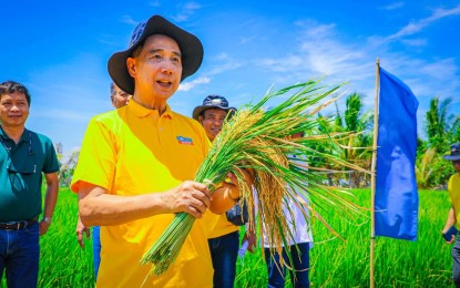 <p><strong>GOLDEN RICE</strong>. Agriculture Secretary William Dar leads the turnover of golden rice seeds to farmers in Nueva Ecija on Friday (May 6, 2022). Dar said the Philippines is leading the development and commercialization of golden rice. <em>(Photo Courtesy: Facebook/William Dar)</em></p>