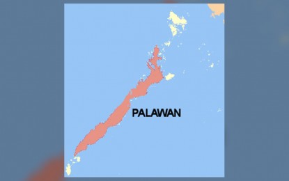 House reso filed to probe Palawan's power crisis