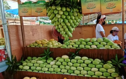 <p><strong>SWEET TIME</strong>. Sweet Guimaras mangoes are on display at the agri-fishery and eco-tourism expo of the 2022 Manggahan Festival. This year, the province has allocated 100 tons of mangoes for the duration of the festival to start on April 29, 2023. <em>(PNA file photo by PGLena)</em></p>
