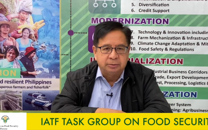 <p><strong>ADOPT NAFMIP</strong>. Agriculture Undersecretary Fermin Adriano urges the next administration to adopt their strategic agricultural plan, National Agriculture and Fisheries Modernization and Industrialization Plan (NAFMIP), in a virtual presser on Tuesday (May 17, 2022). Adriano said its implementation will help cushion the impact of the brewing global food crisis and help double the income of farmers and fishers in the country.<em> (Screengrab)</em></p>