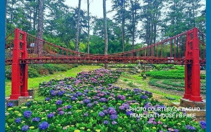 <p><strong>RENOVATED PARK</strong>. The Botanical Garden is one of Baguio City's popular attractions. The City Environment and Parks Management Office will lead the conduct of a public hearing for the possible increase in entrance fee at the newly-renovated garden on May 25 at the Baguio Convention Center. <em>(Photo from Baguio Trancient House FB Page)</em></p>