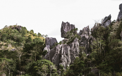 <p><strong>INACTIVE QUARRYING</strong>. The Department of Environment and Natural Resources suspends the Mineral Production Sharing Agreement (MPSA) of three non-operational companies for allegedly encroaching on the Masungi Georeserve in Rizal, in a virtual presser on Wednesday (May 25, 2022). The DENR said the operations of the companies have been halted since 2004. <em>(Photo Courtesy: Masungi Georeserve)</em></p>