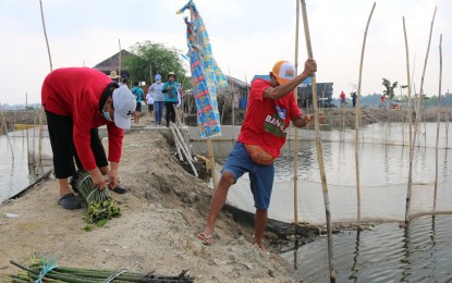 <p><strong>MANGROVE PLANTING</strong>. Fisherfolk plant mangrove propagules in Nagbalon village, Marilao town in Bulacan on Friday (May 27, 2022). This is part of the government's effort to help improve the quality of water in the Marilao river and the same time, prevent flooding and serve as a breeding ground for fish. <em>(Photo courtesy of BFAR-3)</em></p>