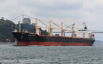 <p>The Marshall Islands-flagged cargo vessel MV Happy Hiro. <em>(Photo courtesy of PCG) </em></p>