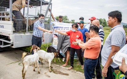 <p><strong>AID</strong>. The Department of Agriculture–Philippine Rural Development Project has distributed goats to farmer-members of the Bonifacio Multi-Purpose Cooperative in Cuyapo, Nueva Ecija. A total of PHP9.7 million worth of inputs and farm facilities were received by the goat raisers.<strong><em> (Photo courtesy of DA-PRDP)</em></strong></p>