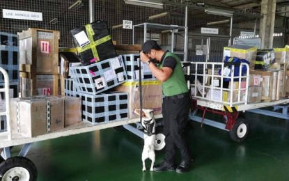 <p><strong>WAR ON DRUGS</strong>. The Philippine Drug Enforcement Agency (PDEA) Airport Interdiction Team and K9 Unit conducts a random paneling at the Iloilo International Airport in Cabatuan, Iloilo on May 24, 2022. PDEA information officer Shey Tanaleon, in an interview on Tuesday (June 7, 2022) said the gains in their anti-drug war during the term of President Rodrigo Duterte will inspire them to continue with the program under the new administration. <em>(Photo courtesy of PDEA Regional Office 6 FB page)</em></p>