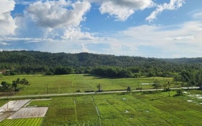 <p><strong>REVITALIZE</strong>. A rice field in Abuyog, Leyte. The Department of Agriculture (DA) on Tuesday (June 7, 2022) reported that it will carry out a soil rejuvenation program in the towns of Abuyog and Javier in Leyte, employing the best-bet soil, water, crop, and nutrient management options to increase yield. <em>(Photo courtesy of DA)</em></p>