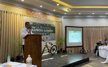 <p><strong>COMMITMENT</strong>. Technical Education and Skills Development Authority (TESDA) Director-General Secretary Isidro Lapeña on Wednesday (June 8, 2022) commits his agency’s support to the bamboo industry as he joined the two-day 1st Guimaras Bamboo Summit held in the municipality of Buenavista. Lapeña added that TESDA helps in curbing the spread of insurgency through its training. <em>(Photo courtesy of Leonora Estanque/TESDA Regional Office VI)</em></p>