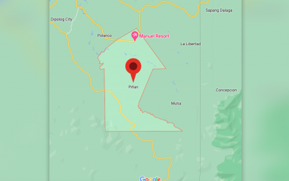 <p>Google map of Piñan municipality, Zamboanga del Norte.</p>