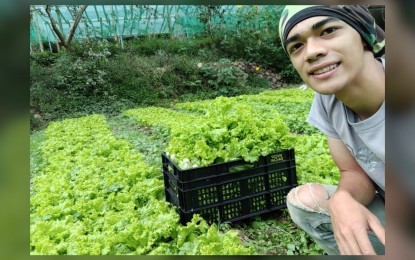 <p><strong>YOUNG FARMER</strong>. Ryan Palunan, 25, the youngest president of the Regional Agriculture and Fisheries Council here, shows his lettuce garden in their backyard in Barangay Happy Hollow in Baguio City in this undated photo. Ryan urged his fellow youth to venture into agriculture. <em>(PNA photo courtesy of Ryan Palunan)</em></p>
<p><em> </em></p>