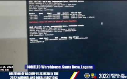 <p><em>(Screengrab from Comelec Facebook livestream)</em></p>