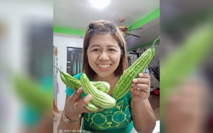 Urban farming 101: Mom shares tips for garden-to-table foods