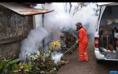 <p><strong>ANTI-DENGUE MEASURE</strong>. A staff of the Bacolod City Health Office conducts fogging in one of the villages with reported dengue cases in this undated photo. During the period January 1 to June 11, 2022, Bacolod recorded 207 dengue cases, including four deaths, which is higher by 137 percent compared to the cases reported during the same period last year. <em>(File photo courtesy of Bacolod City PIO)</em></p>
