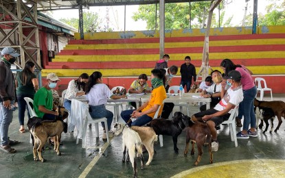<p><strong>GOAT DISPERSAL.</strong> The Department of Trade and Industry in Negros Oriental hands over goats to former rebels of the Communist Party of the Philippines-New People's Army in Guihulngan City, Negros Oriental on Tuesday (June 21, 2022). This is part of the two-day activity held by the Poverty Reduction, Livelihood and Employment Cluster (PRLEC) in Central Visayas under the National Task Force to End Local Communist Armed Conflict (NTF-ELCAC). <em>(Photo courtesy of DTI-Negros Oriental)</em></p>