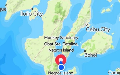 <p>Negros Island map <em>(Courtesy of Petal Maps)</em></p>