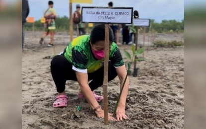 <p><strong>ARBOR DAY</strong>. Zamboanga City Mayor Maria Isabelle Climaco-Salazar leads the planting of mangrove propagules on Saturday (June 25, 2022) as the city joins the celebration of Philippine Arbor Day. At least 8,520 mangrove propagules were planted at the city-owned mangrove site in Barangay Talon-Talon.<em> (Photo courtesy of City Hall Public Information Office)</em></p>