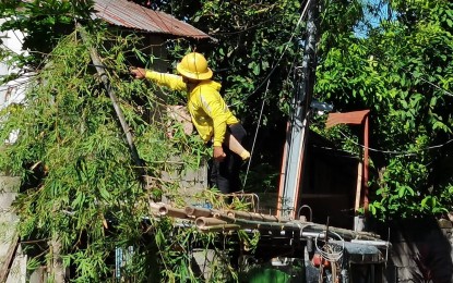 <p><strong>HAZARDOUS JOB.</strong> A man from the electric cooperative wears a hard hat while clearing vegetation in a local neighborhood in Dumaguete City, Negros Oriental. The Department of Labor and Employment in the province reported that many establishments were found to have violated occupational safety and health standards. <em>(PNA photo by Judy Flores Partlow)</em></p>