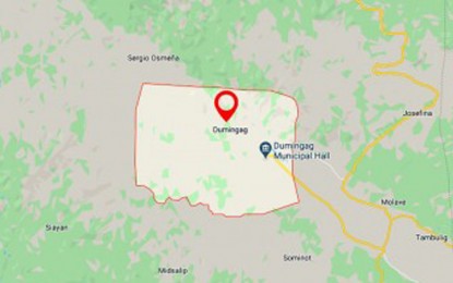 <p>Google map of Dumingag municipality, Zamboanga del Sur.</p>
