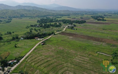 <p><strong>FARM-TO-MARKET ROAD</strong>. An aerial view of the seven-kilometer farm-to-market road in Carranglan, Nueva Ecija now benefits some 2,000 residents and farmers in the area. The project, under the Philippine Rural Development Project of the Department of Agriculture, made it easier for the farmers to transport and deliver their farm produce to the markets. <em>(Photo by DA-PRDP Central Luzon)</em></p>