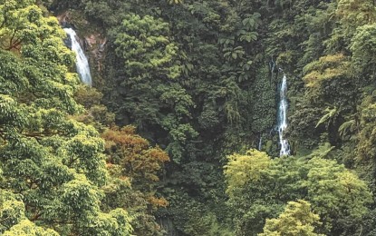 <p><strong>PROTECTED AREA</strong>. The twin falls inside the Mt. Kanlaon Natural Park. A team led by Filipino botanist Shiella Mae Olimpos, a flora specialist of the Philippines Biodiversity Conservation Foundation Inc., will launch a flora expedition inside the protected area on Negros Island in July. <em>(Photo courtesy of DENR-Western Visayas)</em></p>