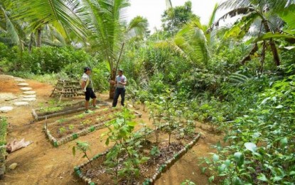 <p><strong>PROTECTED AREA</strong>. A demonstration farm within the Samar Island Natural Park (SINP) in Paranas, Samar. The Department of Environment and Natural Resources is eyeing to complete the survey of all occupants within the SINP as part of its biodiversity conservation efforts inside the protected area. <em>(Photo courtesy of Department of Tourism)</em></p>