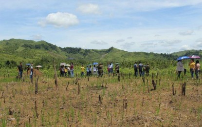 <p><strong>PEACE VILLAGE</strong>. The proposed site of Peace Village in San Jose de Buan, Samar. The proposed village will have a permanent house for former rebels, a training center, and a farm lot for agriculture-related livelihood activities. <em>(Photo courtesy of Philippine Army)</em></p>