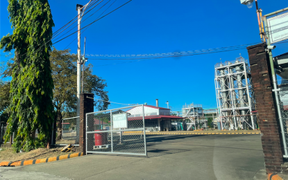 <p><strong>TOMATO PROCESSING</strong>. The Northern Foods Corporation in Sarrat, Ilocos Norte in this undated photo. This government facility used to process fresh ripe tomatoes into paste until the government abolished it last year to give way to privatization. <em>(File photo by Leilanie Adriano)</em></p>