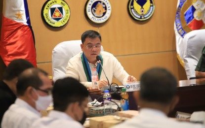 <p>Department of National Defense (DND) officer-in-charge Undersecretary Jose Faustino Jr. <em>(Photo courtesy of Philippine Army)</em></p>