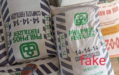 Beware Of Fake Fertilizers Ilocos Norte Farmers Warned Philippine News Agency