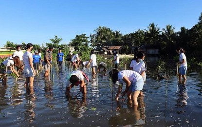 <p><strong>MANGROVE PLANTING.</strong> Volunteers plant some 300 mangroves during the observance of National Disaster Resilience Month on July 14, 2022 in the coastal area of Barangay Calibunan, Cabadbaran City, Agusan del Norte, The Community Environment and Natural Resources Office of Tubay in the province is pushing for more the establishment of more mangroves in coastal communities this year. <em>(Photo courtesy of CENRO-Tubay)</em></p>