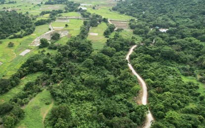 <p><strong>SERVICE ROAD PROJECT</strong>. An aerial view of the 1.3-kilometer service road implemented by the National Irrigation Administration at Barangay Saysain in Bagac town, Bataan. The PHP11.2-million concrete road project covers a service area of 57.31 hectares, benefiting 40 farmers of Saysain Farmers Irrigators Association (FIA) and 20 families at the ICD-Gawad Kalinga Village. <em>(Photo courtesy of NIA) </em></p>