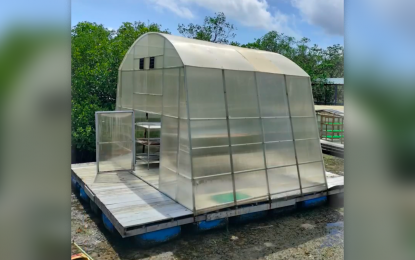 <p><strong>MORE DRYERS.</strong> The Mindanao Development Authority says Monday (July 18, 2022) that 12 more solar-assisted dryer units will be put up in the municipalities of Sibutu and Sitangkai to assist the seaweed farming communities in Tawi-Tawi. The dryer units will be based on the design developed by the Mindanao State University based in the island-province.<em> (Photo from MSU-Tawi-Tawi)</em></p>