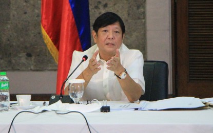 <p>President Ferdinand Marcos Jr. <em>(File photo)</em></p>