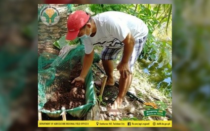 <p><strong>ORGANIC</strong>. A farmer makes fertilizer out of organic matter in Sogod, Southern Leyte in this undated photo. The Department of Agriculture is pushing for the practice of organic farming in Eastern Visayas in response to the rising prices of fertilizers and growing demand for healthier food. <em>(Photo courtesy of DA-8)</em></p>