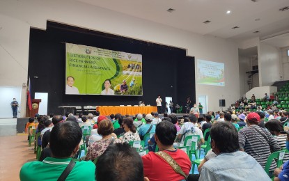 <p><strong>CASH GRANT</strong>. The Department of Agriculture-Central Luzon, in partnership with the provincial government of Pampanga, extends cash assistance to farmers in the province. A total of 25,339 farmers will receive PHP5,000 each under the Rice Competitiveness Enhancement Fund-Rice Farmers Financial Assistance program. <em>(Photo courtesy of DA-Region 3)</em></p>