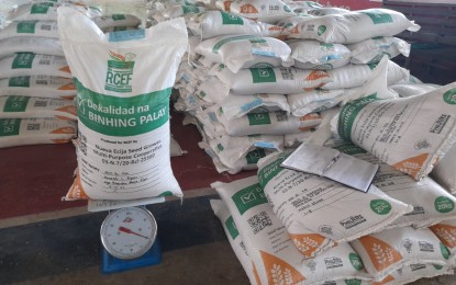 RCEF seed program helps increase rice farmers' yields