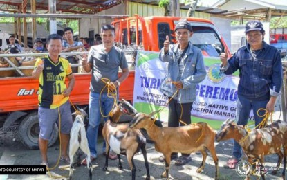 <p><strong>LIVESTOCK RECIPIENTS.</strong> Farmer-recipients of goats from the Bangsamoro Autonomous Region in Muslim Mindanao (BARMM) flash the thumbs up sign after receiving the livestock in Barangay Buliok, Pikit, North Cotabato, Friday (July 29, 2022). Farmers in a Maguindanao village – Barangay Bente-Uno in Sultan Kudarat – also receive livestock as government assistance after their farmlands were flooded. <em>(Photo courtesy of MAFAR)</em></p>