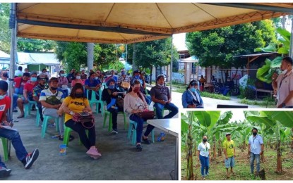 <p><strong>LOAN ASSISTANCE.</strong> Department of Agrarian Reform (DAR) North Cotabato and Land Bank personnel in North Cotabato provide financial literacy seminars to ARB before the release on Tuesday (August 2, 2022) of their loan to fund income-generating projects.  The provincial DAR office says a total of PHP44 million was released to 97 ARBs to fund their banana, rice, corn, mango and pomelo production. <em>(Photo courtesy of DAR-12)</em></p>