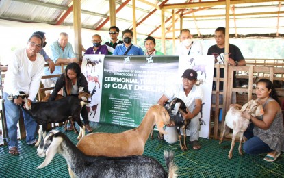 <p><strong>DAIRY GOAT BREEDING</strong>. The Department of Science and Technology (DOST) in Negros Oriental turns over Anglo Nubian goats to farmer-beneficiaries in Zamboanguita town for a dairy goat breeding project. The research project is funded by the Philippine Council for Agriculture, Aquatic and Natural Resources Research and Development and aims to train farmers to breed goats not for their meat but for their milk and other dairy products.<em> (Photo courtesy of DOST Negros Oriental)</em></p>
